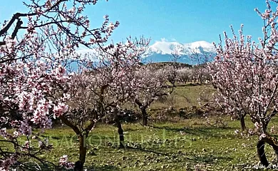 La Alcoba de Bécquer en Vera de Moncayo (Zaragoza) - Foto 18