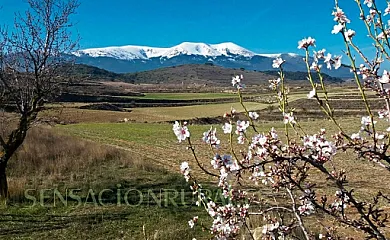 La Alcoba de Bécquer en Vera de Moncayo (Zaragoza) - Foto 21