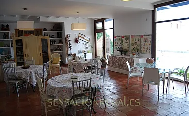 Casa Santa Ana en Miguel Esteban (Toledo) - Foto 4