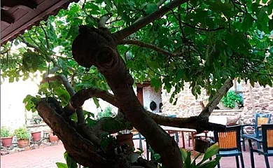 Vallehermoso en San Carlos Del Valle (Ciudad Real) - Foto 7