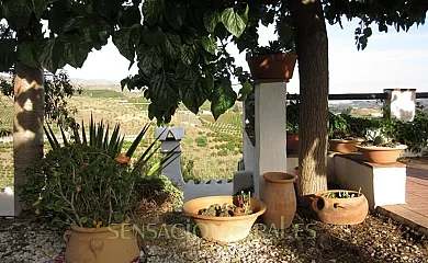 Casas Rurales Trinidad en Velez (Málaga) - Foto 14