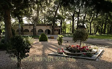 Casa El Molino en Santa Eulalia (Teruel) - Foto 6