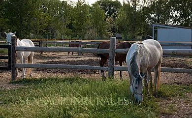 Casa El Molino en Santa Eulalia (Teruel) - Foto 7