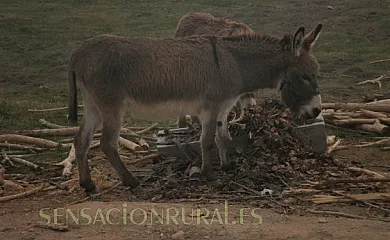 Casa El Molino en Santa Eulalia (Teruel) - Foto 19