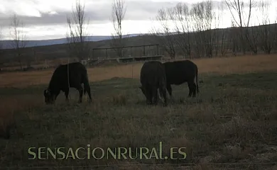 Casa El Molino en Santa Eulalia (Teruel) - Foto 20