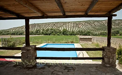 La Torrilla en Cazorla (Jaén) - Foto 9