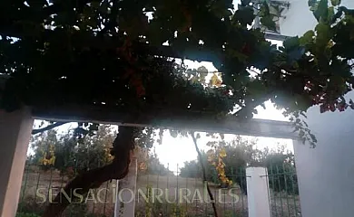 La Torrilla en Cazorla (Jaén) - Foto 13