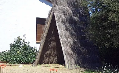 Can Micos en Riudarenes (Girona) - Foto 6