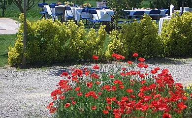 Can Micos en Riudarenes (Girona) - Foto 11