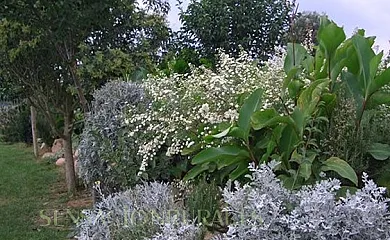 Can Micos en Riudarenes (Girona) - Foto 13