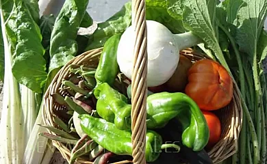 Casa Martina en Guadalaviar (Teruel) - Foto 13