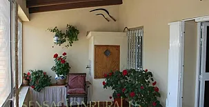 Caseta del Chato 005