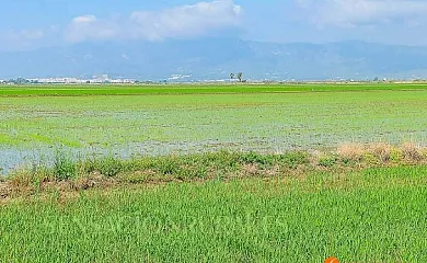 Caseta del Chato en Deltebre (Tarragona) - Foto 18