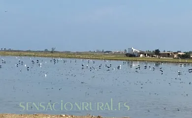 Caseta del Chato en Deltebre (Tarragona) - Foto 19