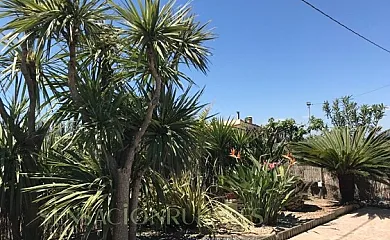 Caseta del Chato en Deltebre (Tarragona) - Foto 25