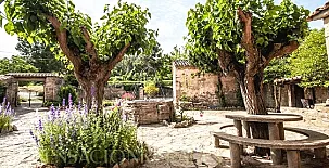 Castillo Les Feixes de Coaner 002