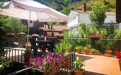 El Hayedo de Argovejo en Argovejo (León) - Foto 4