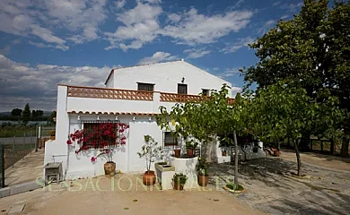 L´Esquerra de Gabriel en Amposta (Tarragona) - Foto 1