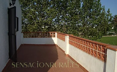 L´Esquerra de Gabriel en Amposta (Tarragona) - Foto 13