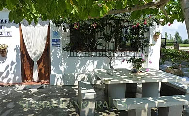 L´Esquerra de Gabriel en Amposta (Tarragona) - Foto 14