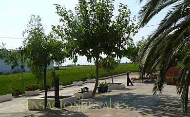 L´Esquerra de Gabriel en Amposta (Tarragona) - Foto 15