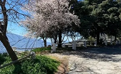 Complejo Rural Balcon de Pitres en Pitres (Granada) - Foto 19