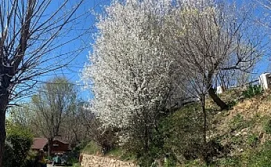 Complejo Rural Balcon de Pitres en Pitres (Granada) - Foto 20