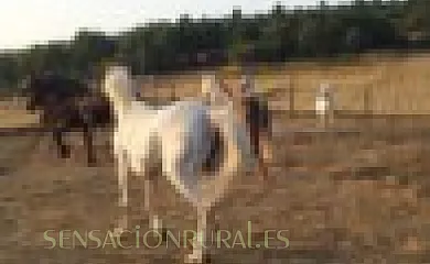 Casa Felisa de Marcelle en Monforte de Lemos (Lugo) - Foto 6