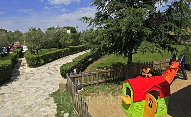 Cantarranas en Ciudad Rodrigo (Salamanca) - Foto 10