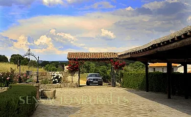 Cantarranas en Ciudad Rodrigo (Salamanca) - Foto 11