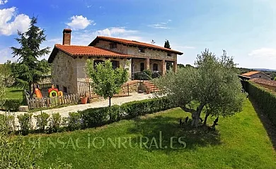 Cantarranas en Ciudad Rodrigo (Salamanca) - Foto 12