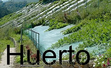 La Ensertal en Torre (Asturias) - Foto 14