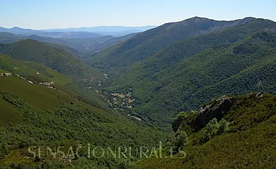 El Rincón del Cuco en Tejedo de Ancares (León) - Foto 12