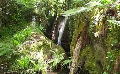 Casa do Louteiro en Orellan (León) - Foto 12