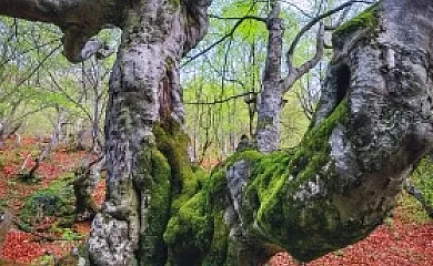 Casa Rural Aguas Frías I y II en Omañuela (León) - Foto 14
