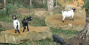 Agroturismo Maddiola 002