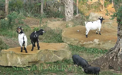 Agroturismo Maddiola en Igueldo (Guipuzcoa) - Foto 2