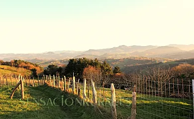 Iturritxo Landetxea en Donostia. San Sebastián (Guipuzcoa) - Foto 11