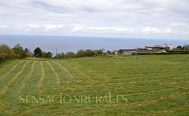 Iturritxo Landetxea en Donostia. San Sebastián (Guipuzcoa) - Foto 12