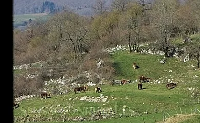 Mikeletxenea en Astitz (Navarra) - Foto 14