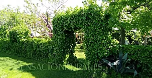 Agroturismo Calvario 13 002