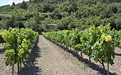 Ca L'Anxica en Guimera (Lleida) - Foto 11