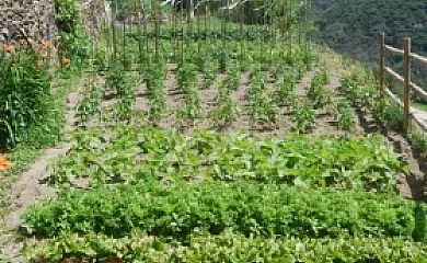 Casa Bellera en Caregue (Lleida) - Foto 19