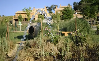 El Rincón de Cabañeros en Retuerta Del Bullaque (Ciudad Real) - Foto 19