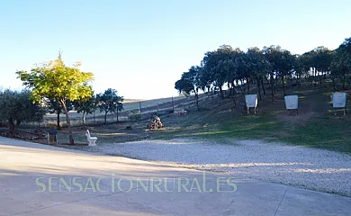 Complejo Mirasierra Rural en Venta de Cardenas (Ciudad Real) - Foto 2