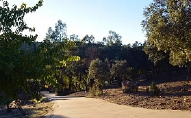 Complejo Mirasierra Rural en Venta de Cardenas (Ciudad Real) - Foto 3