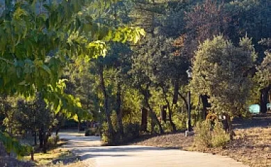 Complejo Mirasierra Rural en Venta de Cardenas (Ciudad Real) - Foto 6