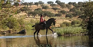 FINCA LOS LLANOS 009
