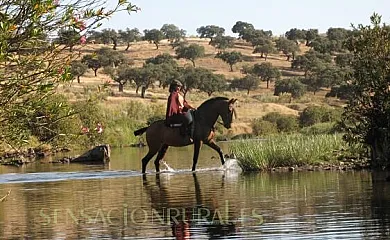 FINCA LOS LLANOS en Atalaya (Badajoz) - Foto 8