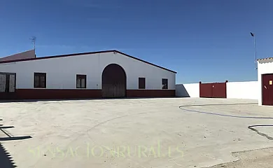 FINCA LOS LLANOS en Atalaya (Badajoz) - Foto 10